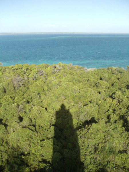 View from the Lighthouse Chumbe Island Zanzibar