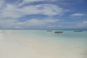 Beach off Mnemba Island Zanzibar