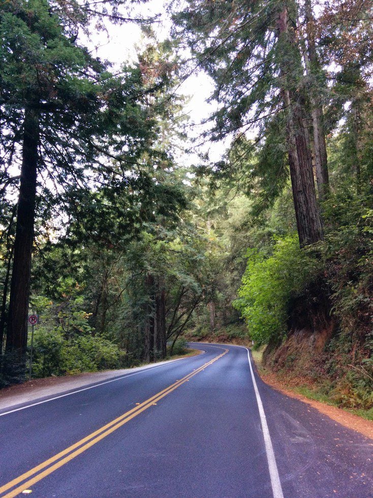 California Scenic Road