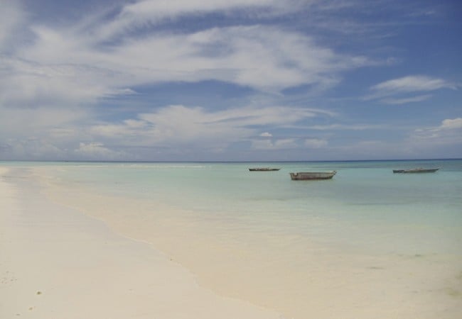 Tropical Beach Zanzibar